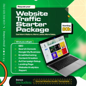 Website Traffic Starter Package